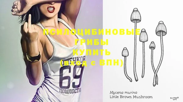 индика Лихославль