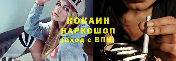индика Лихославль