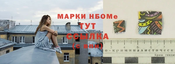 индика Лихославль