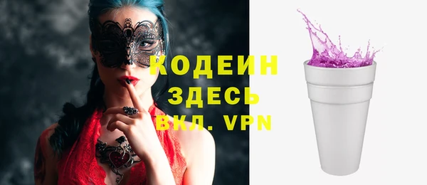 индика Лихославль