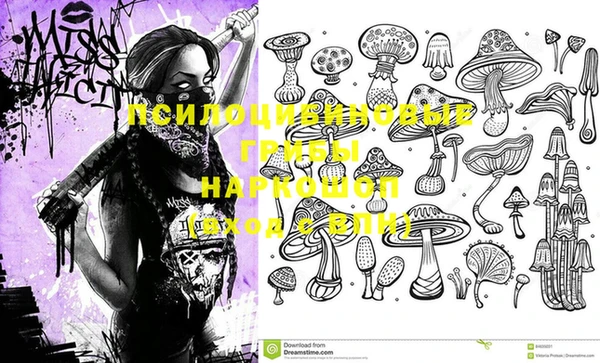соль курить ск Липки
