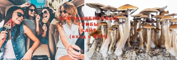 соль курить ск Липки