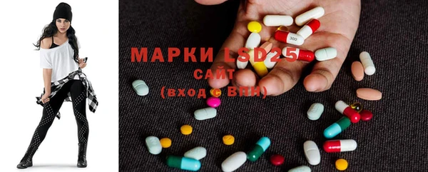 индика Лихославль