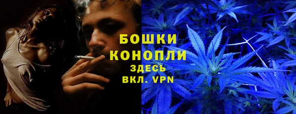 соль курить ск Липки