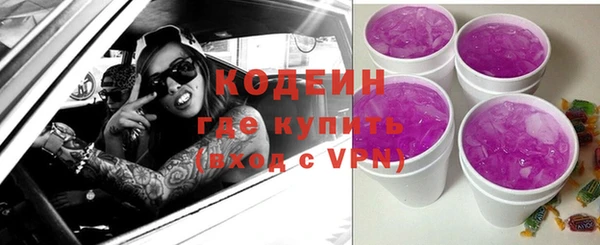индика Лихославль