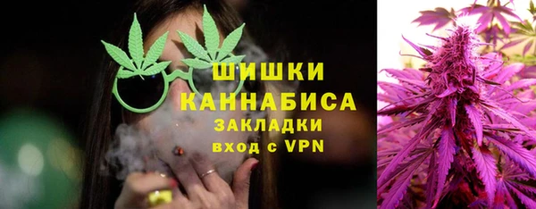 индика Лихославль