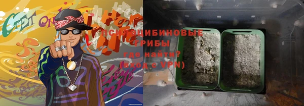 индика Лихославль