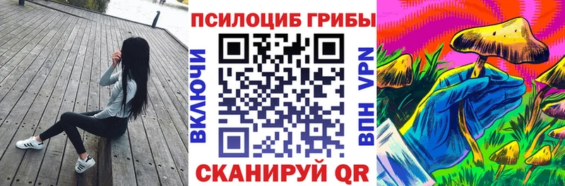 Купить закладки Котельнич Псилоцибиновые грибы Magic Shrooms